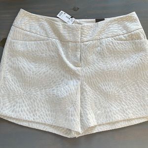 NWT The Limited Cassidy fit shorts size 10